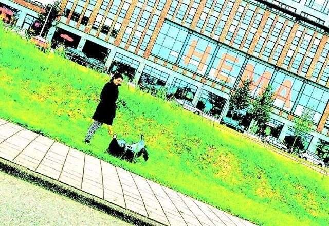 Hema blog academy event