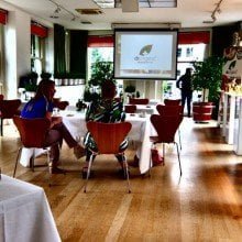 dr organic persevent