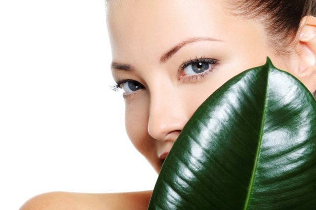 beautiful clean woman's face behind the large green leaf