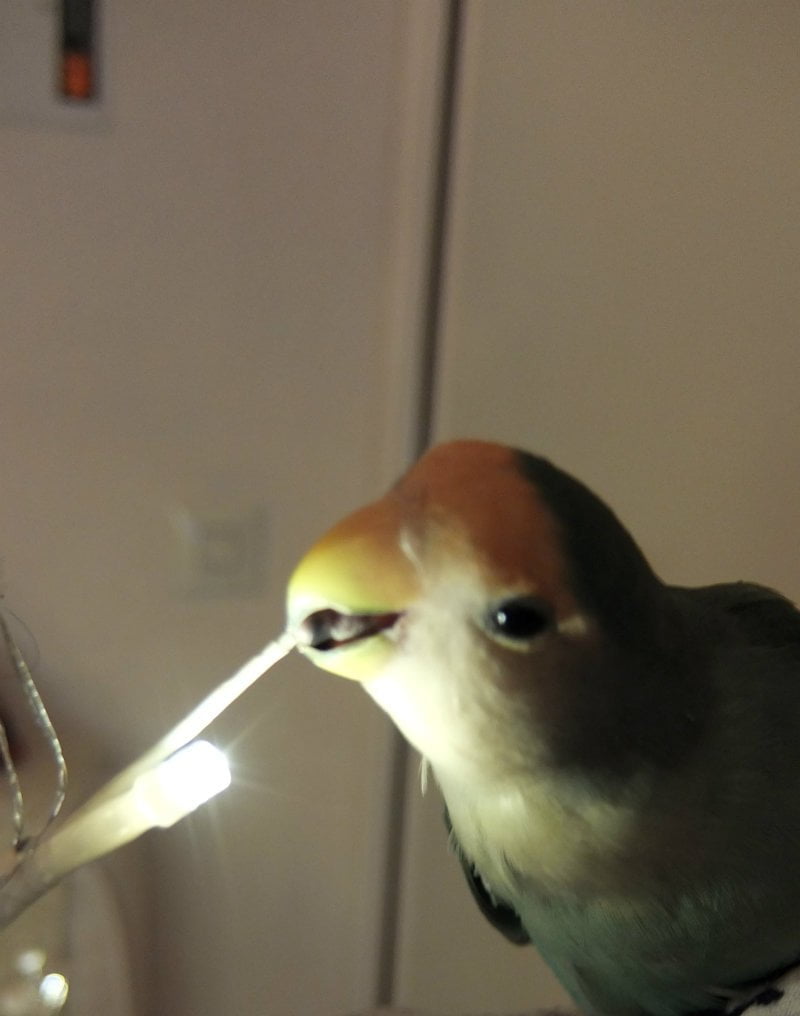 Keek op de Week 11- Kerst, Kerstshow en Kerstoutfit 36 Keek op de Week 11- Kerst, Kerstshow en Kerstoutfit 35 keek Keek op de Week 11- Kerst, Kerstshow en Kerstoutfit