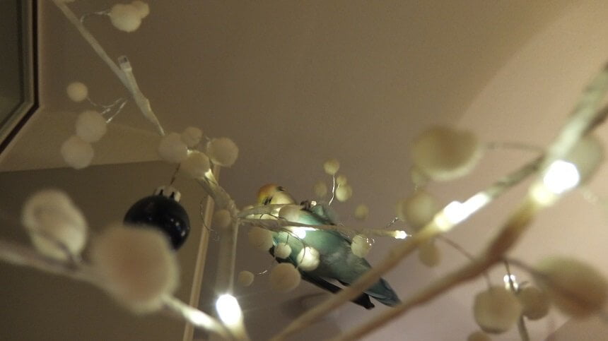 Keek op de Week 11- Kerst, Kerstshow en Kerstoutfit 42 Keek op de Week 11- Kerst, Kerstshow en Kerstoutfit 41 keek Keek op de Week 11- Kerst, Kerstshow en Kerstoutfit