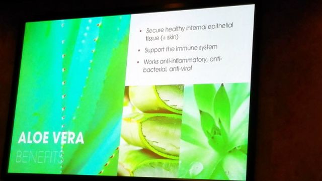 aloe vera