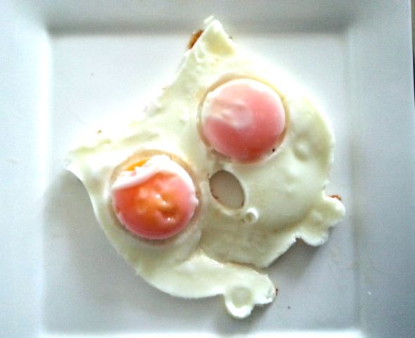 gebakken ei fred uil