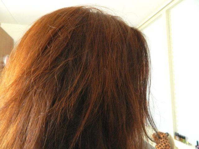 rood haar