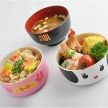 Geen kopzorgen meer met mijn IDream 1260! (met filmpje) 15 kokeshi bento boxen