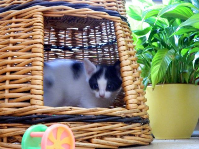 KeeK op Week 27- Je Vous Présente... 60 KeeK op Week 27- Je Vous Présente... 59 keek op de week KeeK op Week 27- Je Vous Présente...