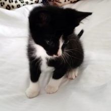 KeeK op Week 27- Je Vous Présente... 97 KeeK op Week 27- Je Vous Présente... 96 keek op de week KeeK op Week 27- Je Vous Présente...