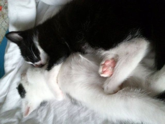 KeeK op Week 27- Je Vous Présente... 76 KeeK op Week 27- Je Vous Présente... 75 keek op de week KeeK op Week 27- Je Vous Présente...