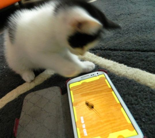 KeeK op Week 27- Je Vous Présente... 49 KeeK op Week 27- Je Vous Présente... 48 keek op de week KeeK op Week 27- Je Vous Présente...