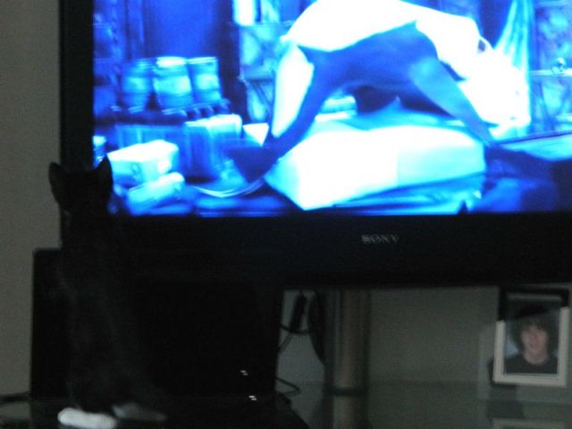 toulouse kijkt disney