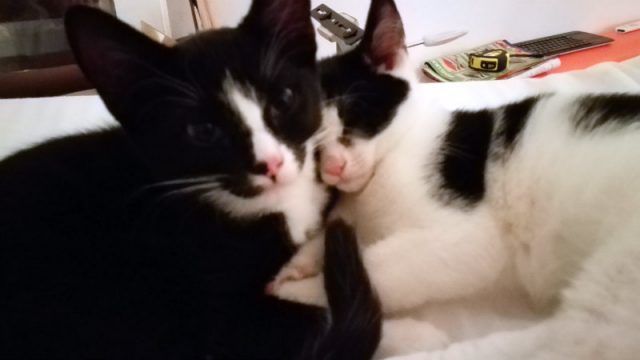 KeeK op de week 34- Bank, Bloggen en breek me de bek niet open... 26 knus