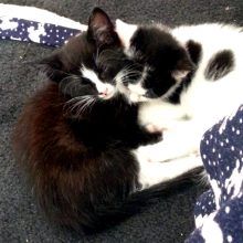 KeeK op de week 34- Bank, Bloggen en breek me de bek niet open... 19 KeeK op de week 34- Bank, Bloggen en breek me de bek niet open... 18 bloggen KeeK op de week 34- Bank, Bloggen en breek me de bek niet open...