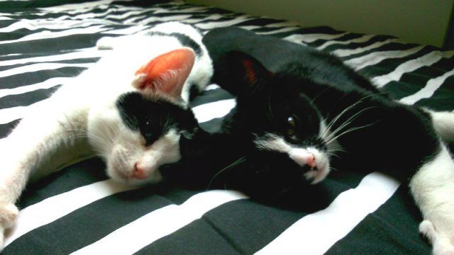 KeeK op de week 34- Bank, Bloggen en breek me de bek niet open... 24 samen op bed, marie en toulouse