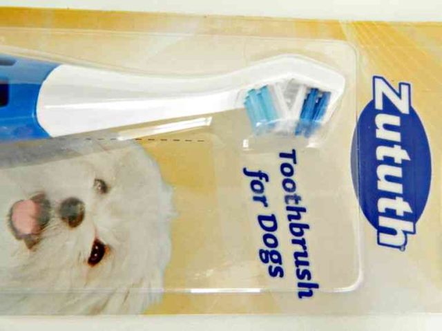 Oxyfresh Pets voor Marie en Toulouse! (plus filmpje hoe zij hun pakket uitpakken :)) 12 oxyfresh Oxyfresh Pets voor Marie en Toulouse! (plus filmpje hoe zij hun pakket uitpakken :))