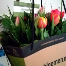 KeeK op de Week 7- Kneuzing, Cadeautjes en castratie 14 week KeeK op de Week 7- Kneuzing, Cadeautjes en castratie