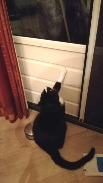 toulouse wil naar buiten