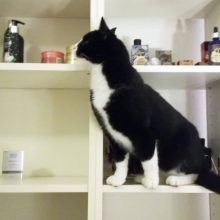 KeeK op de WeeK 45- Een nieuwe vloer en mijn blog-kamer opnieuw ingericht! 11 blog KeeK op de WeeK 45- Een nieuwe vloer en mijn blog-kamer opnieuw ingericht!