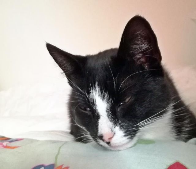 KeeK op de WeeK 50- Kleine KeeK op het Jaar 8 Marie en Toulouse