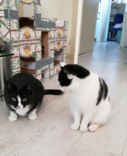 KeeK op de WeeK 50- Kleine KeeK op het Jaar 7 Marie en Toulouse