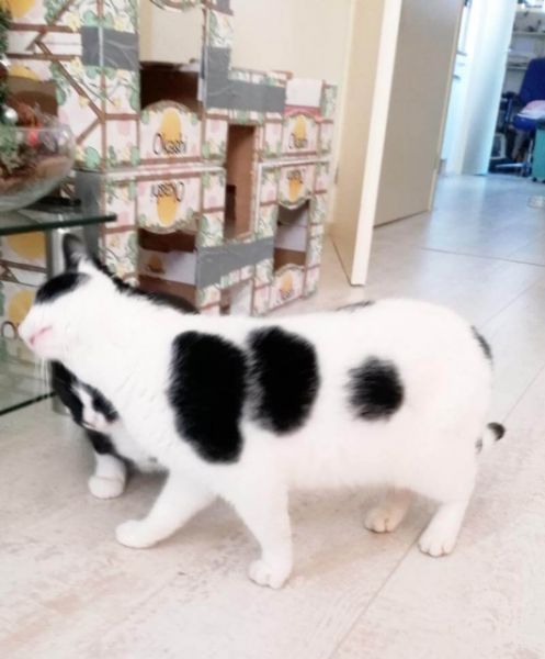 KeeK op de WeeK 50- Kleine KeeK op het Jaar 6 Marie en Toulouse