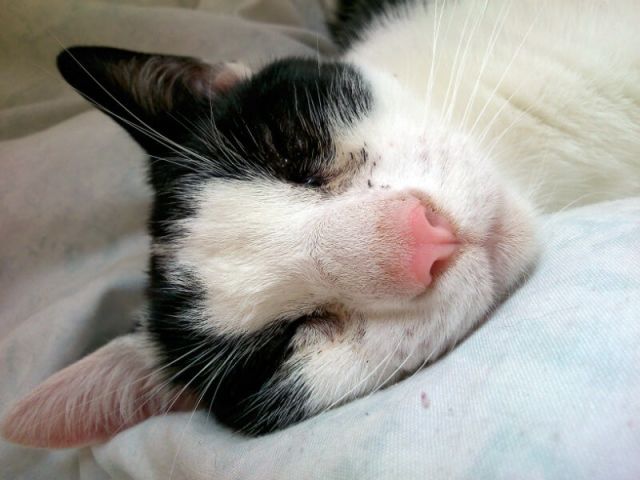 KeeK op de WeeK 50- Kleine KeeK op het Jaar 12 KeeK op de WeeK 50- Kleine KeeK op het Jaar 11 jaar KeeK op de WeeK 50- Kleine KeeK op het Jaar