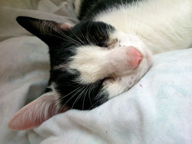 KeeK op de WeeK 50- Kleine KeeK op het Jaar 10 neusje marie