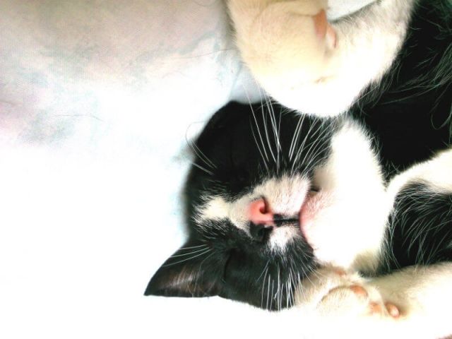 KeeK op de WeeK 50- Kleine KeeK op het Jaar 9 tandje toulouse