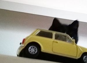 KeeK op de WeeK 7- Een Mini Cooper voor mijn verjaardag en een feestje (maar niet voor mij...) 16 mini cooper