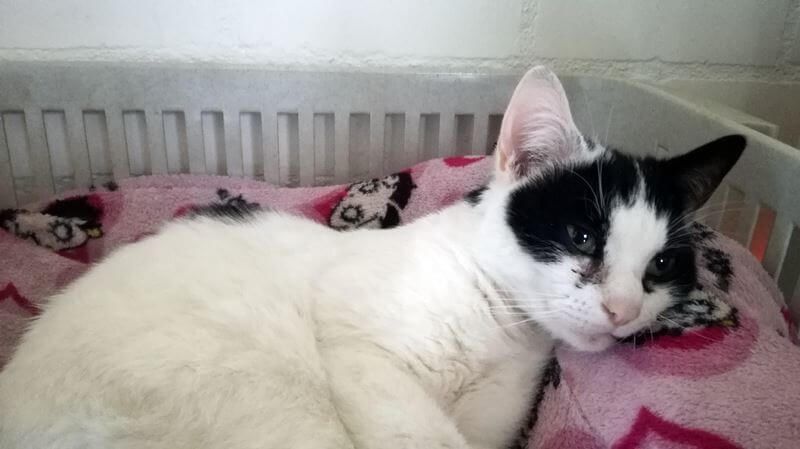 KeeK op de WeeK 18- Miskoop, Ischias en Senseo en Fruitige Yoghurt taart! 23 ischias KeeK op de WeeK 18- Miskoop, Ischias en Senseo en Fruitige Yoghurt taart!