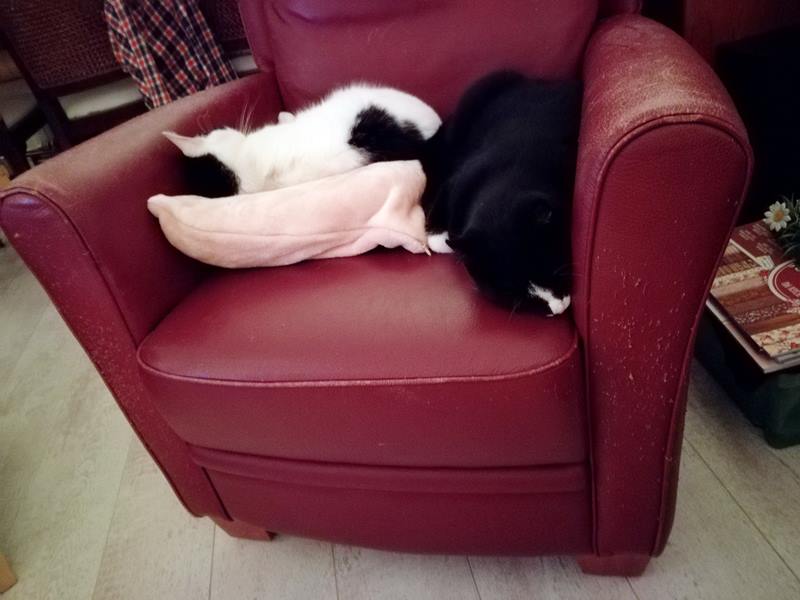 KeeK op de WeeK 44- Bloederige Vingers, Haunted Houses en een Vrouw met "Foutjes"... 9 marie toulouse