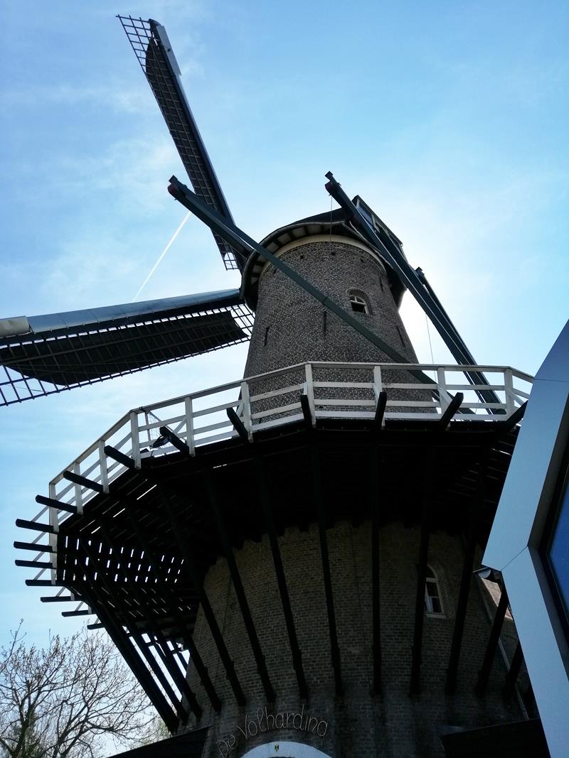 KeeK op de WeeK 16- Caramba Gamba, Brabants Best en Drijfzand... 13 gamba KeeK op de WeeK 16- Caramba Gamba, Brabants Best en Drijfzand...