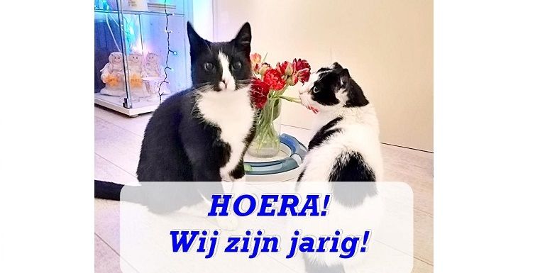 Hieperdepiep, Hoera! Marie en Toulouse zijn jarig!