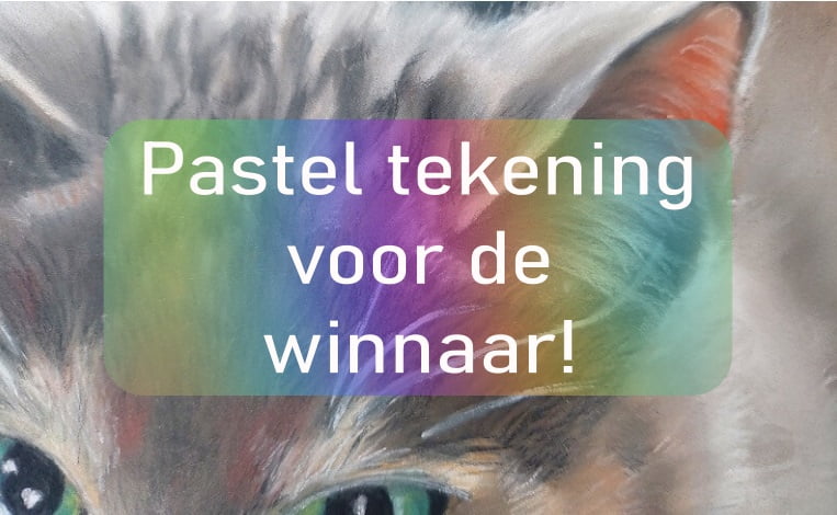 Het Schilderij voor de Winnaar! En een Nieuwe Winactie! 7 Het Schilderij voor de Winnaar! En een Nieuwe Winactie!