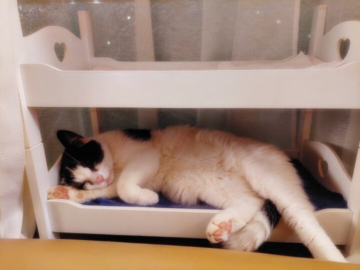 KeeK op de WeeK 34- Update Marie, Nieuw Schilderwerk, Mosselen en Knoeperts... 5 knoepert KeeK op de WeeK 34- Update Marie, Nieuw Schilderwerk, Mosselen en Knoeperts...