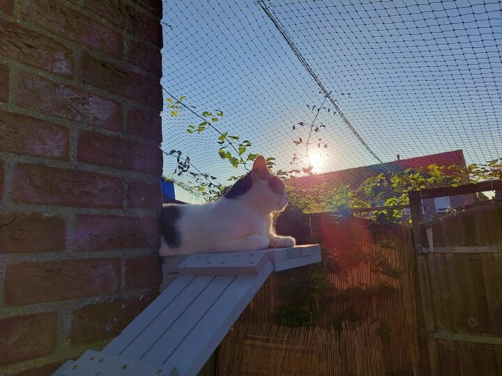 Keek op de WeeK 36- Balkon op het Dak, Marie de Schildpad en Rats Kuch en Bonen... 3 balkon Keek op de WeeK 36- Balkon op het Dak, Marie de Schildpad en Rats Kuch en Bonen...
