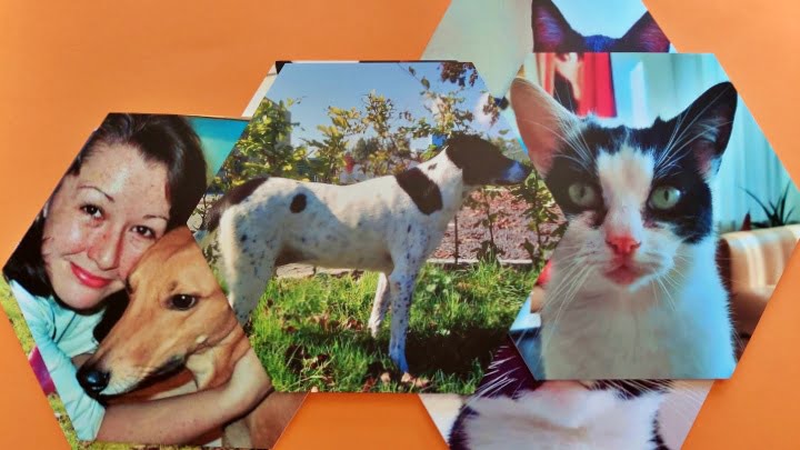 Interieur: Mijn Hexagon Wanddecoratie van mijn Favoriete Foto’s!