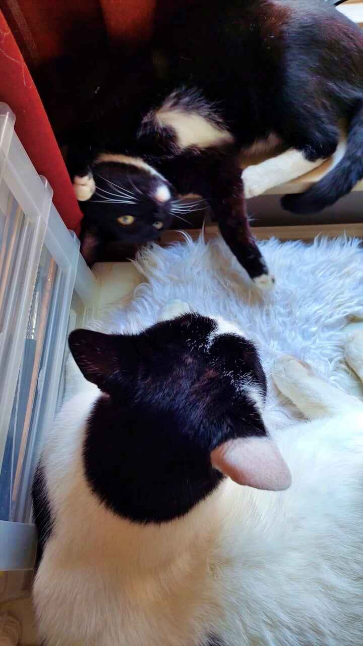 KeeK op de WeeK 13- Voor en na Foto Douche & Rare Mensen op Marktplaats... 13 douche KeeK op de WeeK 13- Voor en na Foto Douche & Rare Mensen op Marktplaats...