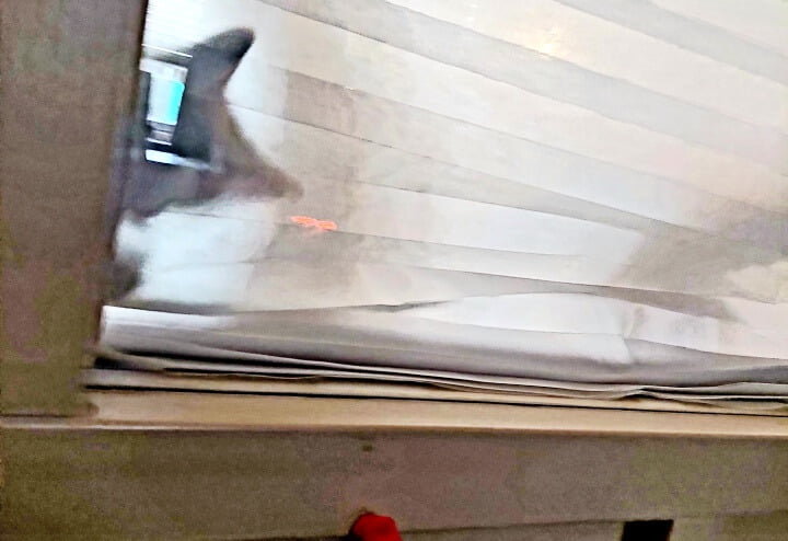 KeeK op de WeeK 43- Corona, Griep, Dierenarts en Stylisten aan het Werk voor een Nieuw Interieur! 22 KeeK op de WeeK 43- Corona, Griep, Dierenarts en Stylisten aan het Werk voor een Nieuw Interieur! 21 corona KeeK op de WeeK 43- Corona, Griep, Dierenarts en Stylisten aan het Werk voor een Nieuw Interieur!