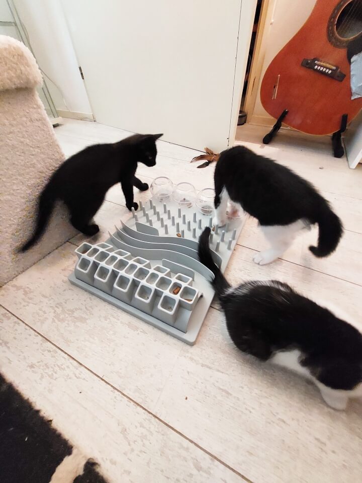 KeeK op de WeeK 43- Corona, Griep, Dierenarts en Stylisten aan het Werk voor een Nieuw Interieur! 32 KeeK op de WeeK 43- Corona, Griep, Dierenarts en Stylisten aan het Werk voor een Nieuw Interieur! 31 corona KeeK op de WeeK 43- Corona, Griep, Dierenarts en Stylisten aan het Werk voor een Nieuw Interieur!