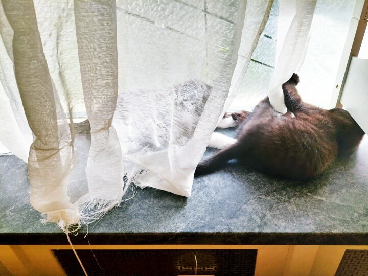 KeeK op de WeeK 43- Corona, Griep, Dierenarts en Stylisten aan het Werk voor een Nieuw Interieur! 28 KeeK op de WeeK 43- Corona, Griep, Dierenarts en Stylisten aan het Werk voor een Nieuw Interieur! 27 corona KeeK op de WeeK 43- Corona, Griep, Dierenarts en Stylisten aan het Werk voor een Nieuw Interieur!