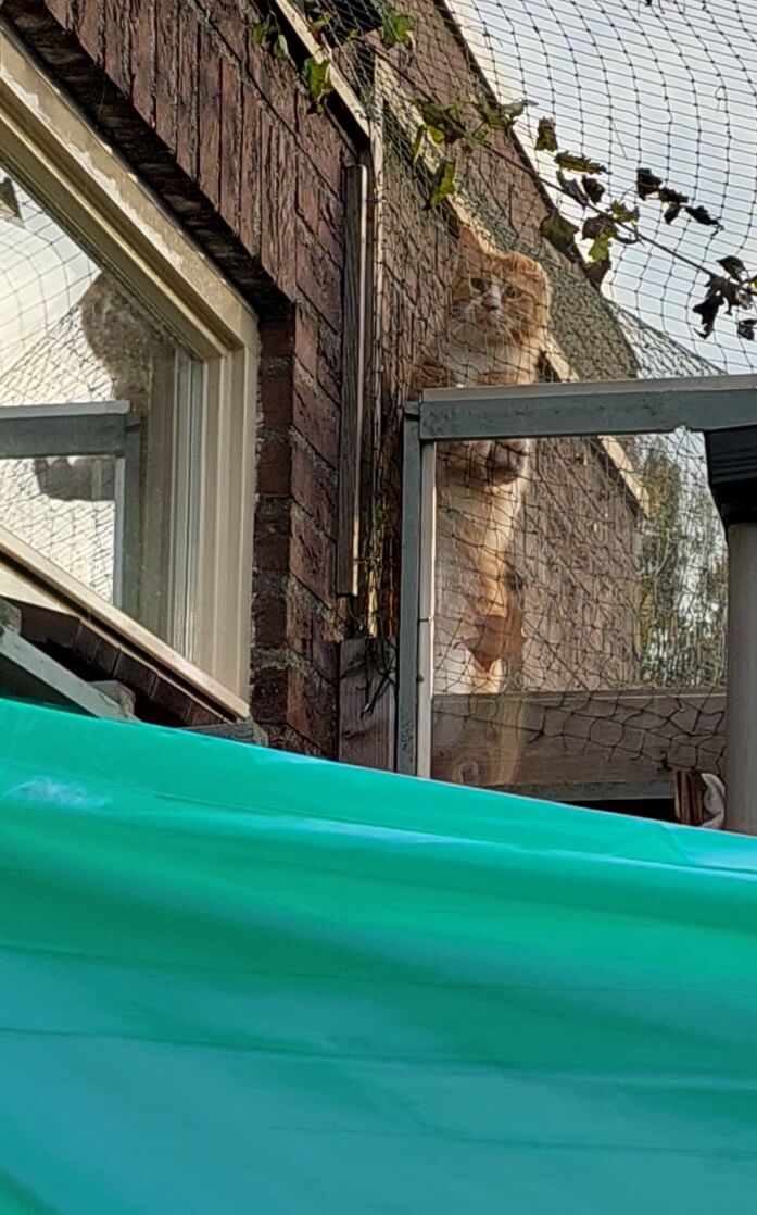 KeeK op de WeeK 45- Karppi, Kool & Kittens naar Buiten! 30 KeeK op de WeeK 45- Karppi, Kool & Kittens naar Buiten! 29 keek op de week KeeK op de WeeK 45- Karppi, Kool & Kittens naar Buiten!