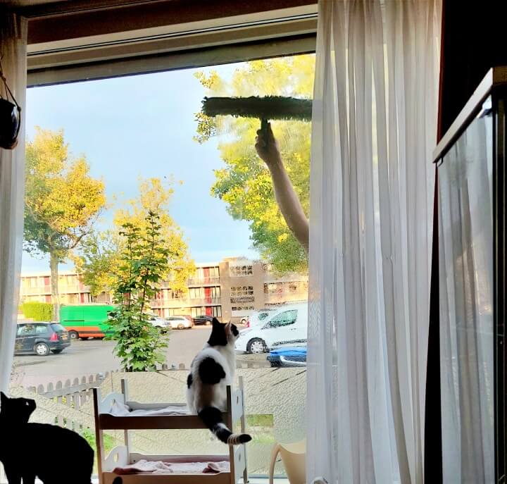 KeeK op de WeeK 38- Vervelen, Ramen Lappen, Papadag en Gras Eten... 6 KeeK op de WeeK 38- Vervelen, Ramen Lappen, Papadag en Gras Eten... 5 ramen lappen KeeK op de WeeK 38- Vervelen, Ramen Lappen, Papadag en Gras Eten...