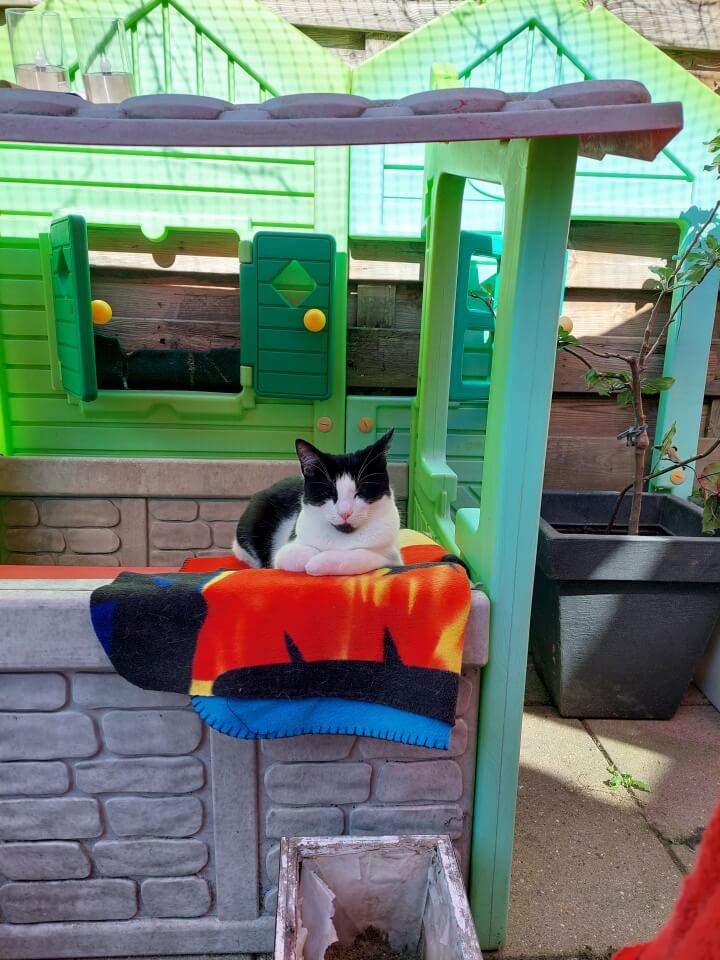 KeeK op de WeeK 38- Vervelen, Ramen Lappen, Papadag en Gras Eten... 4 KeeK op de WeeK 38- Vervelen, Ramen Lappen, Papadag en Gras Eten... 3 ramen lappen KeeK op de WeeK 38- Vervelen, Ramen Lappen, Papadag en Gras Eten...