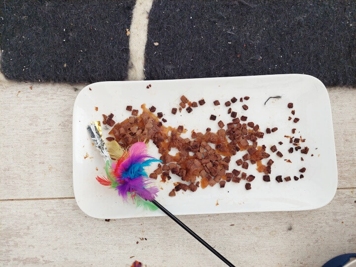 KeeK op de WeeK 47- Mislukte Eclairs, Gevulde Speculaas, Mads en Mooie Mr. Noodles... 13 eclairs KeeK op de WeeK 47- Mislukte Eclairs, Gevulde Speculaas, Mads en Mooie Mr. Noodles...