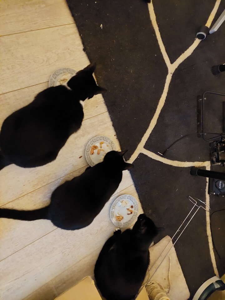 KeeK op de WeeK 52- DIY Kerstkaarten, Kerstcadeaus, Kerstmuis en Kerstdis! 12 KeeK op de WeeK 52- DIY Kerstkaarten, Kerstcadeaus, Kerstmuis en Kerstdis! 11 kerstkaarten KeeK op de WeeK 52- DIY Kerstkaarten, Kerstcadeaus, Kerstmuis en Kerstdis!