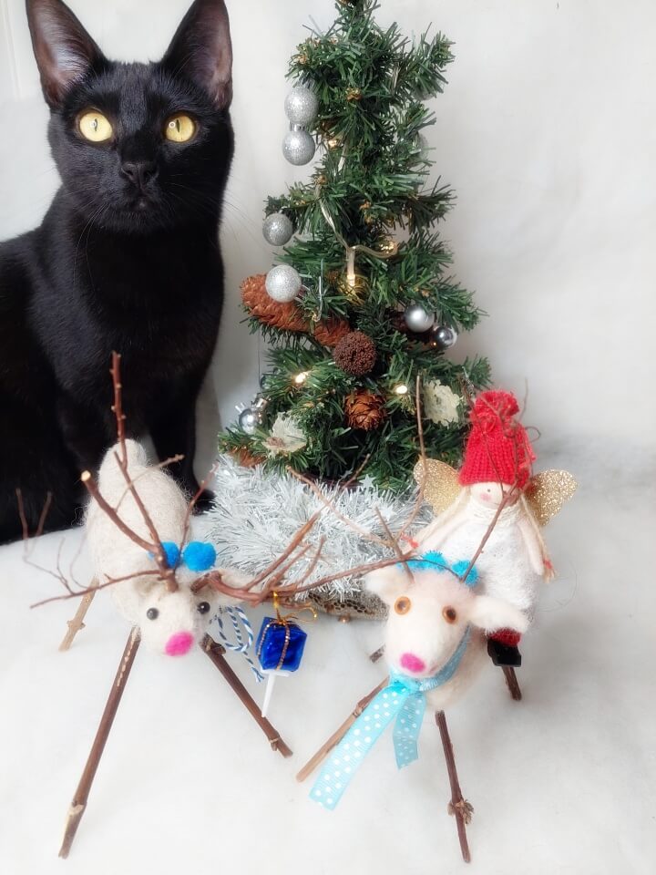 KeeK op de WeeK 52- DIY Kerstkaarten, Kerstcadeaus, Kerstmuis en Kerstdis! 9 knoepie en rendier