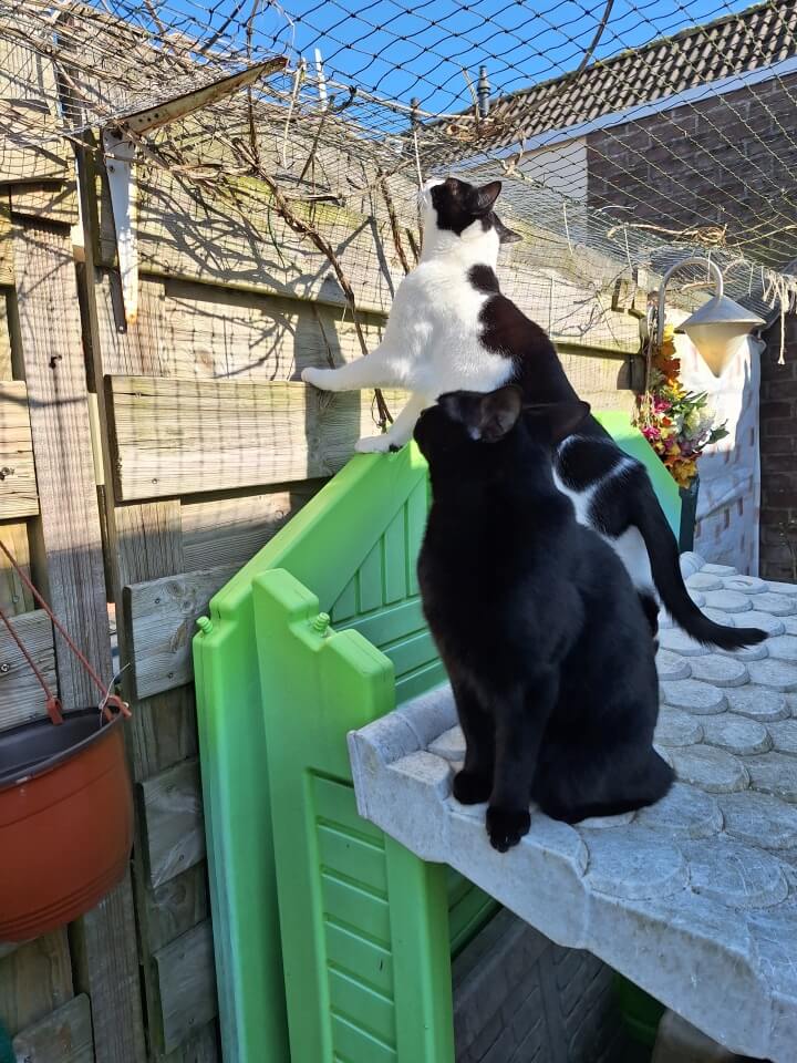 KeeK op de WeeK 9- Polymeer Paasmeisje, Hippe Snuffelzakjes, Miskoop Alie en Wallace? 20 maart