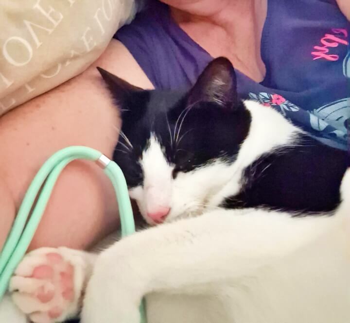 KeeK op de WeeK 23- Kiespijn, Tandarts, Pasta, Kapsalon en een Badje voor de Katten! 20 kiespijn KeeK op de WeeK 23- Kiespijn, Tandarts, Pasta, Kapsalon en een Badje voor de Katten!