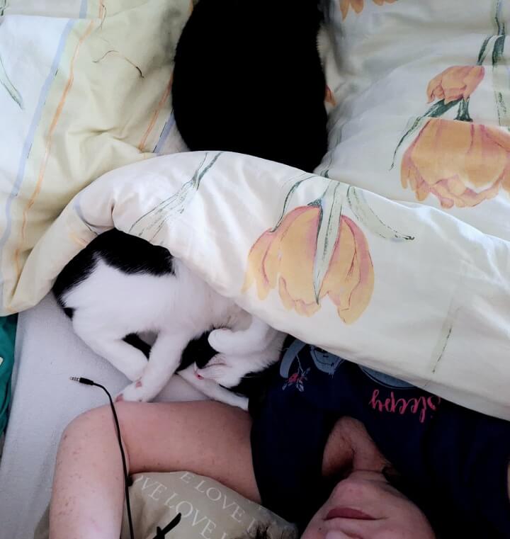 KeeK op de WeeK 23- Kiespijn, Tandarts, Pasta, Kapsalon en een Badje voor de Katten! 18 kiespijn KeeK op de WeeK 23- Kiespijn, Tandarts, Pasta, Kapsalon en een Badje voor de Katten!