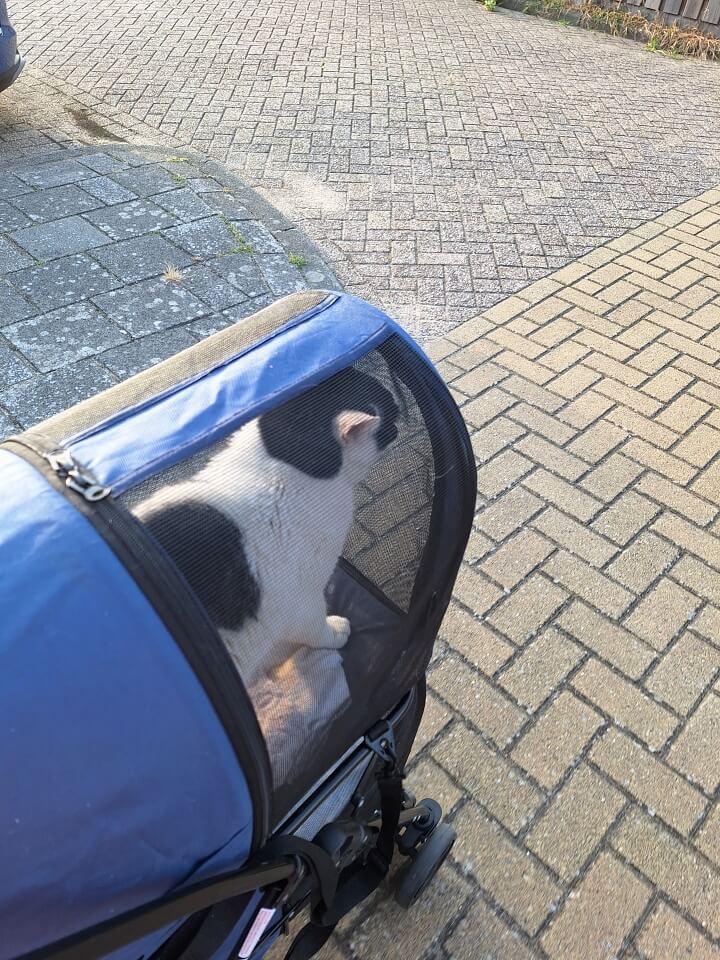 KeeK op de WeeK 29 graden- Wandelen, Mijn Droomhuis, Zwanen en veel Groen! 5 wandelen KeeK op de WeeK 29 graden- Wandelen, Mijn Droomhuis, Zwanen en veel Groen!